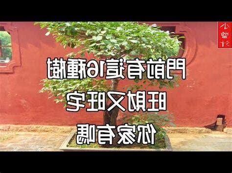 仙桃樹風水|風水學後院種樹也是很有講究的，不能亂種